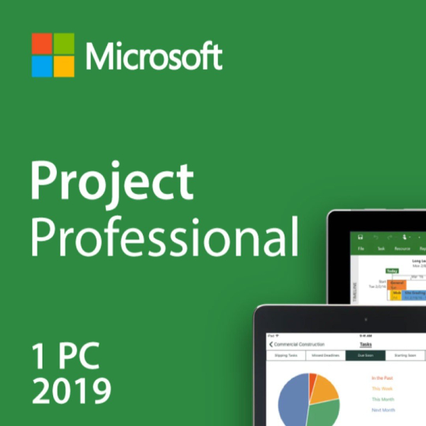 Microsoft Project Professional 2019