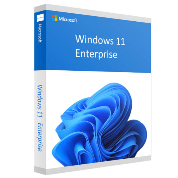 Windows 11 Enterprise key